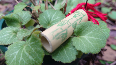 里山工作教室など（キャンプカウンセラーとしてのお手伝い）