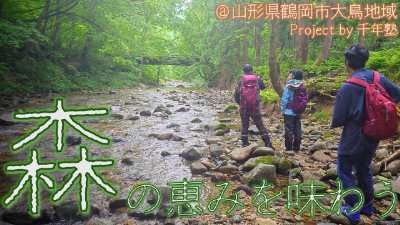 活動紹介動画「森の恵みを味わう」